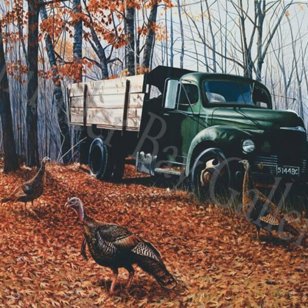 "Free Parking" Turkey