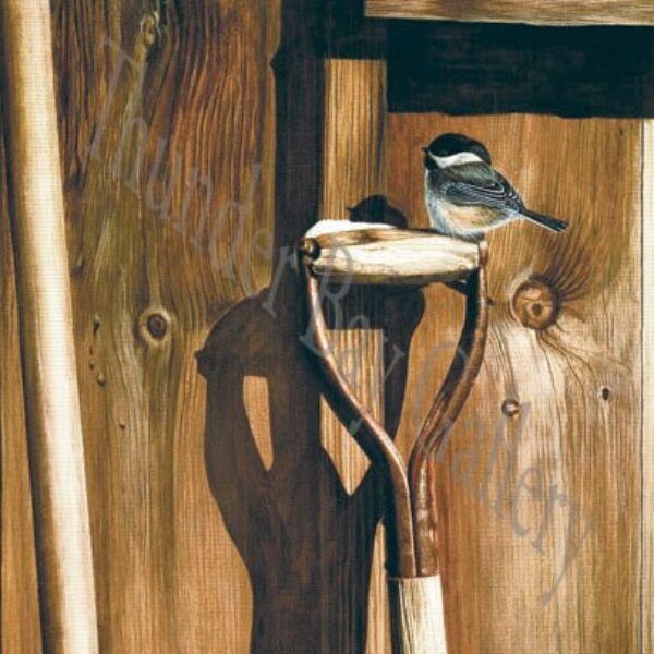 "By The Wood Shed" Chickadee's