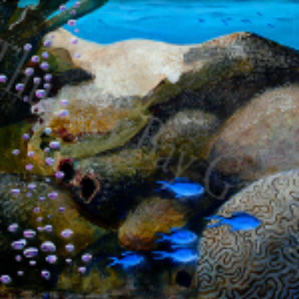 Reef Scene